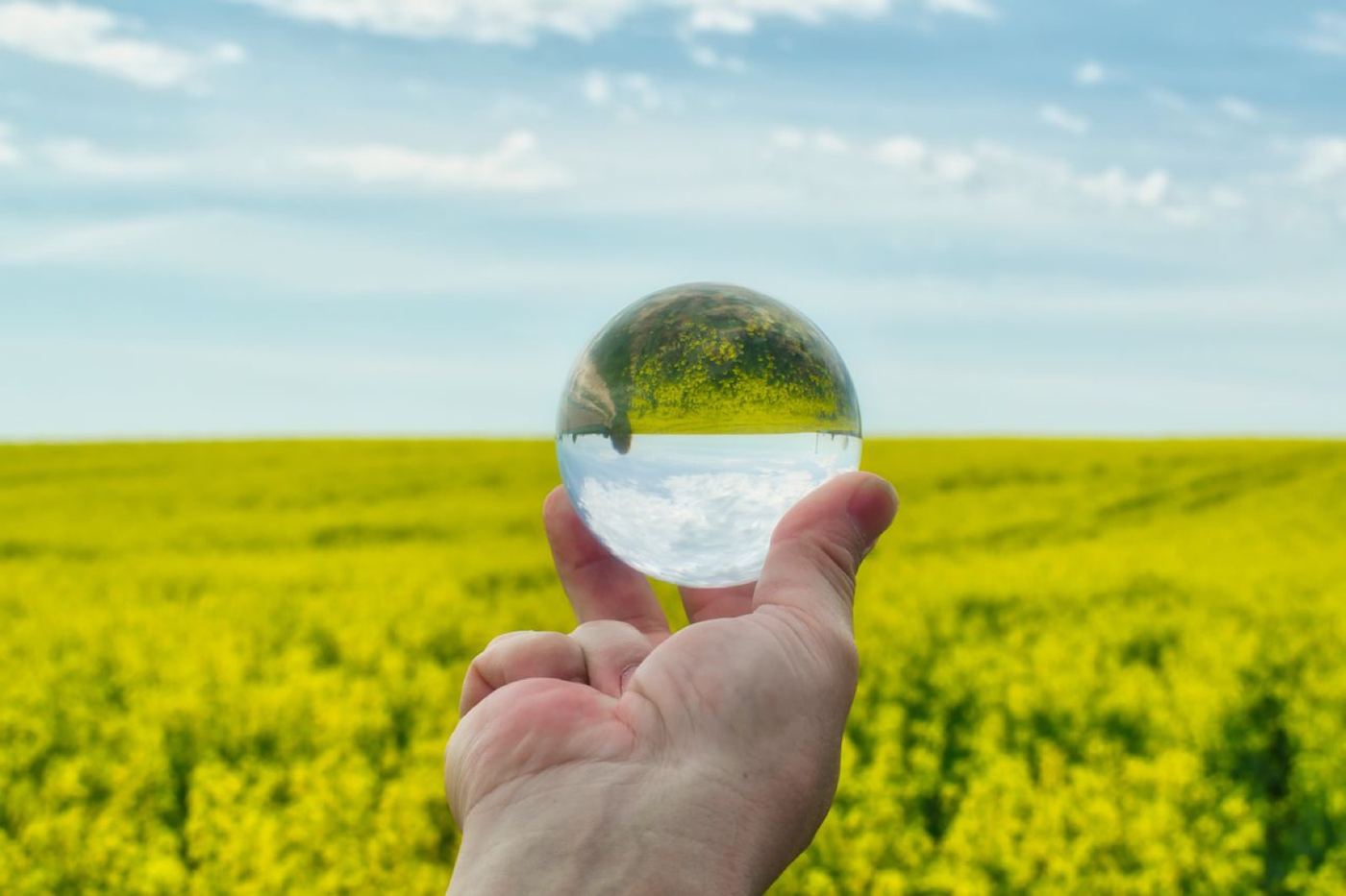 A glass sphere held up in a field of flowering rape, the landscape inverted inside it