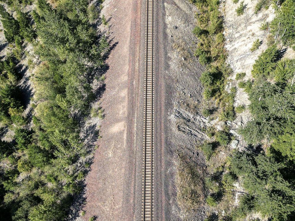 A railway cutting through dense forest, seen from directly above