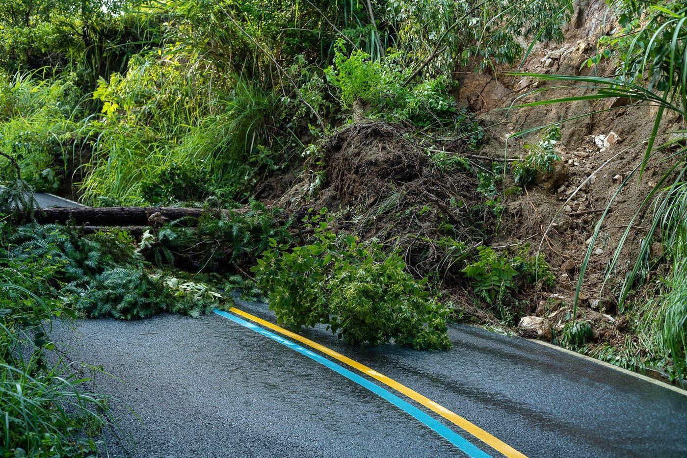 A landslide of earth and vegetation blocking a hillside road